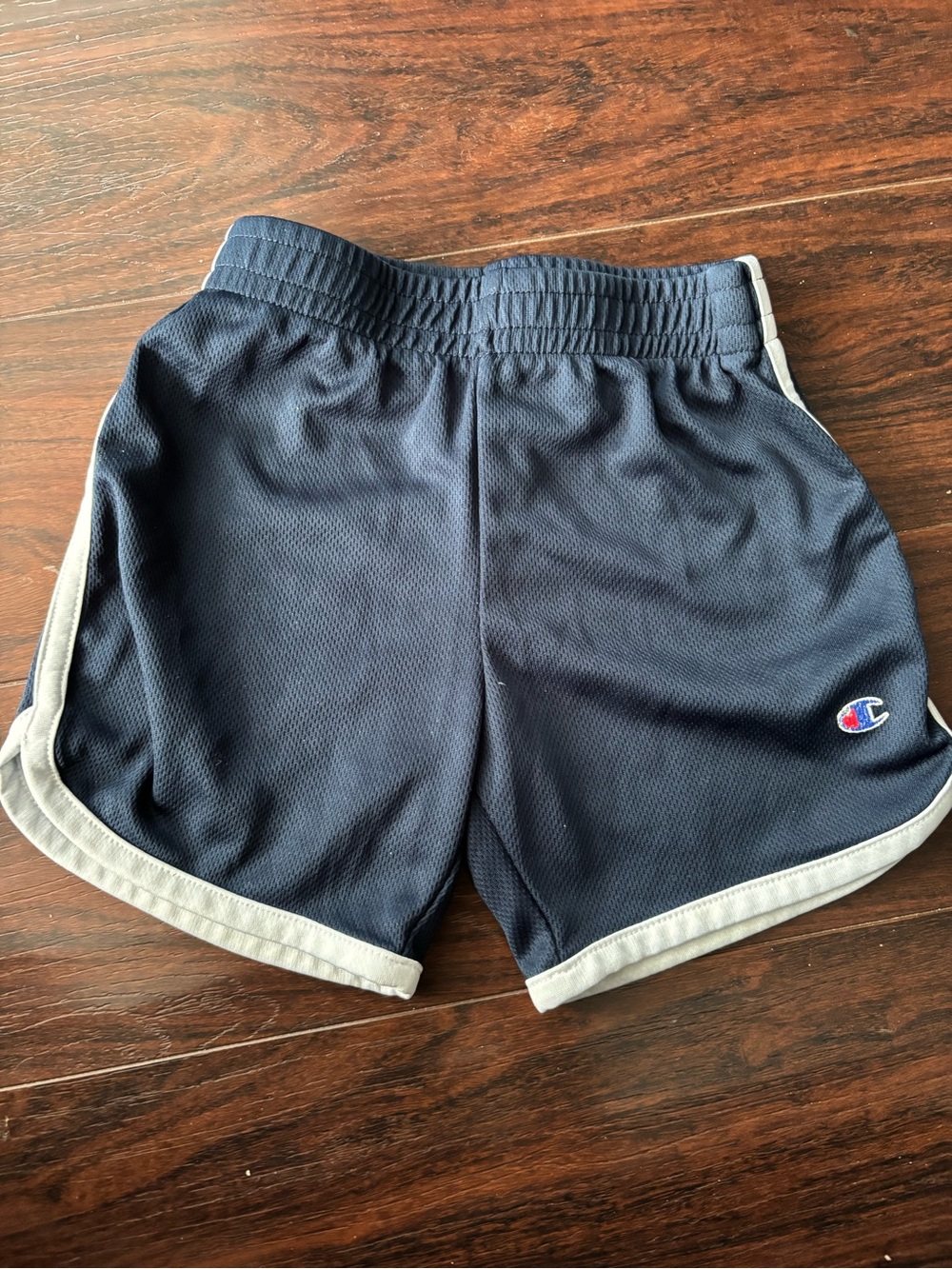 Champion Navy Shorts with White Trim and Logo